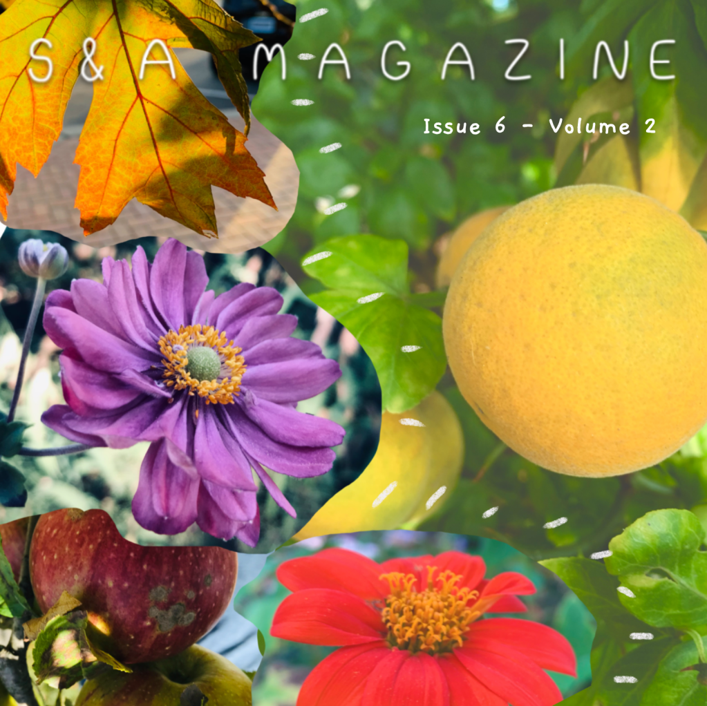 S&A Magazine Issue 6 – Volume&nbsp;2