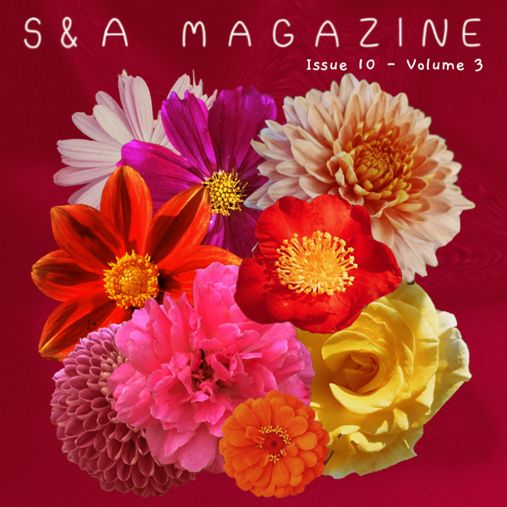 S&A Magazine Issue 10 – Volume&nbsp;3